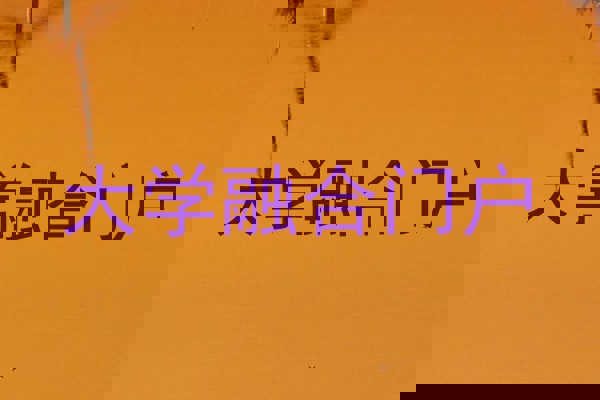 大学融合门户