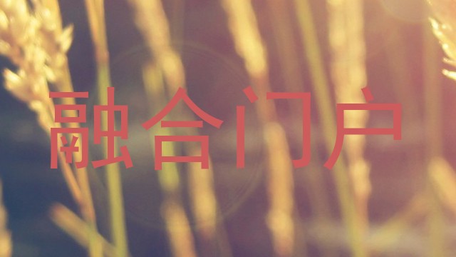 融合门户