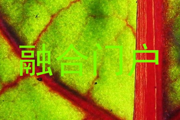融合门户