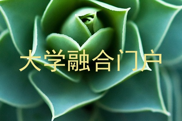 大学融合门户