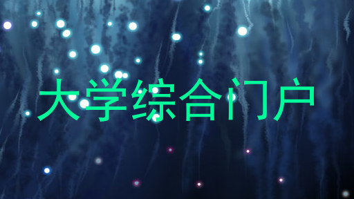 大学综合门户
