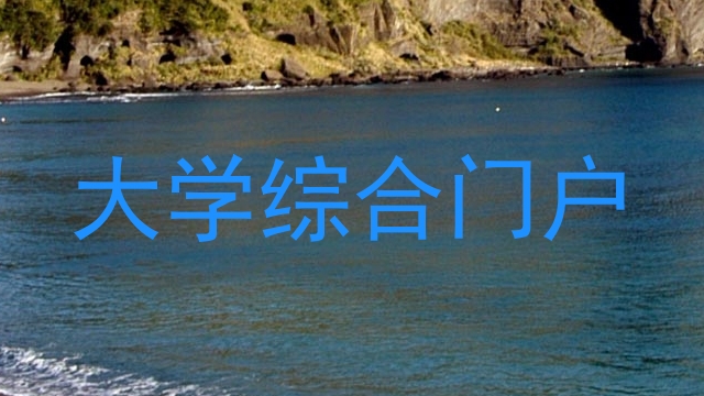 大学综合门户