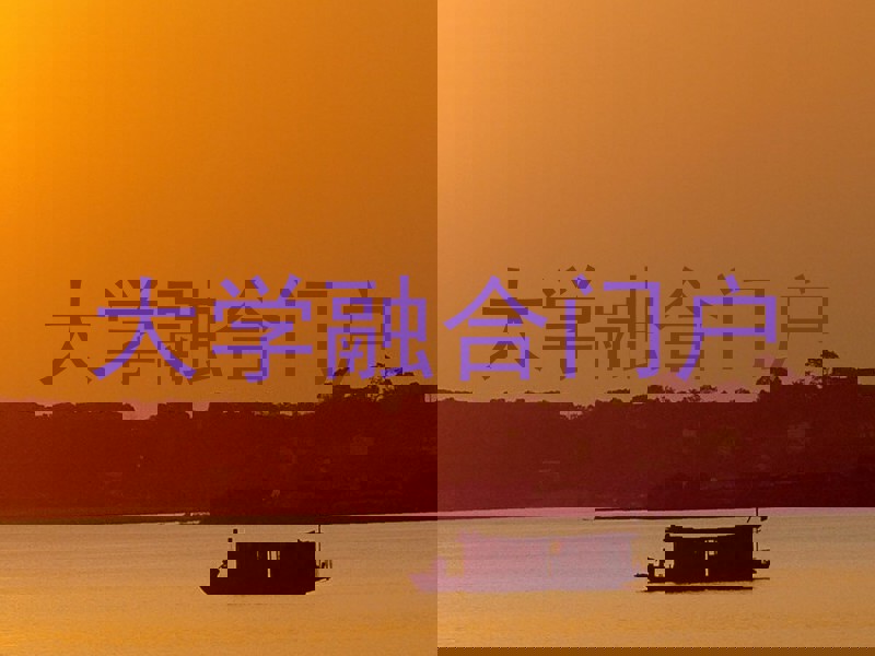 大学融合门户