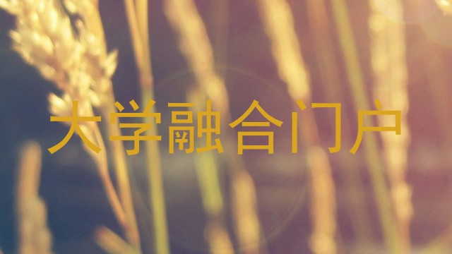大学融合门户