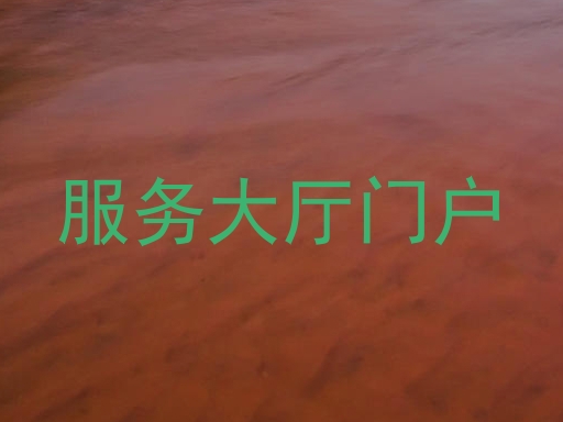 服务大厅门户