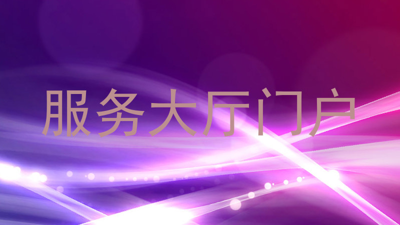 服务大厅门户