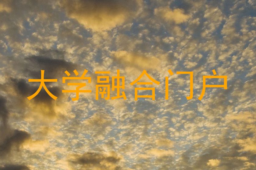 大学融合门户