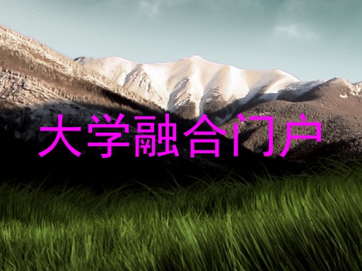 大学融合门户