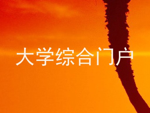 大学综合门户