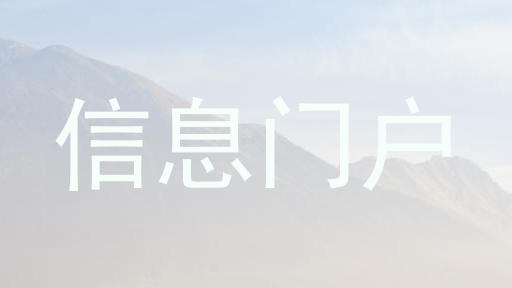 信息门户