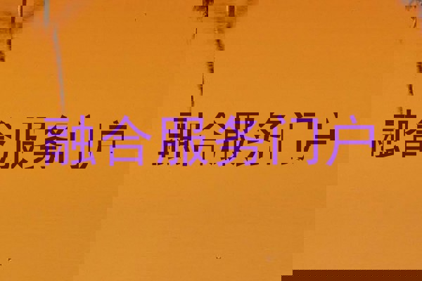 融合服务门户
