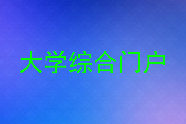 大学综合门户