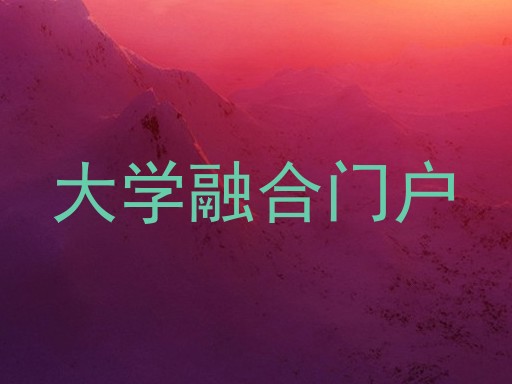 大学融合门户