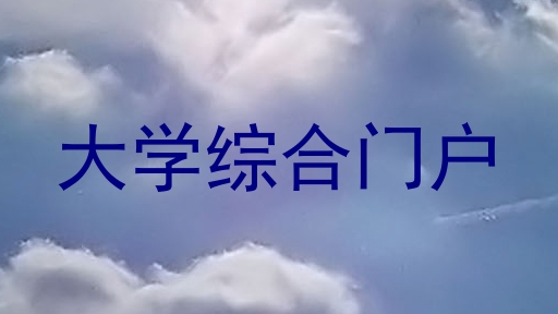 大学综合门户