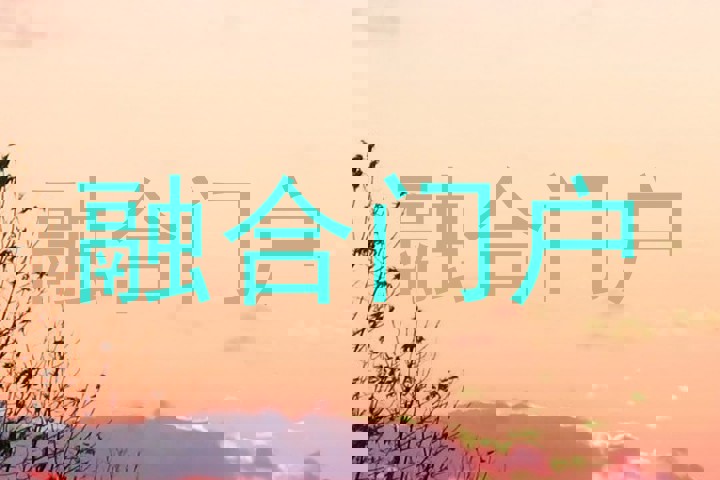 融合门户