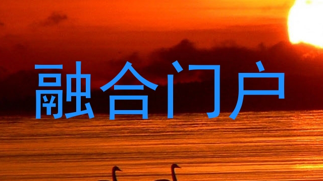 融合门户