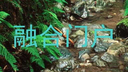 融合门户