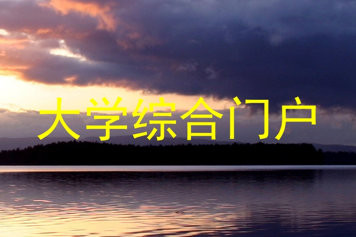 大学综合门户