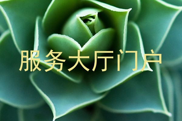 服务大厅门户