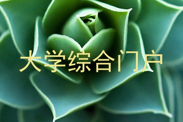 大学综合门户
