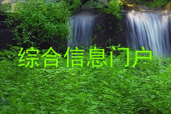 综合信息门户