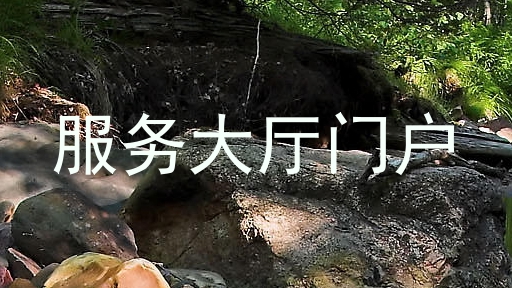 服务大厅门户