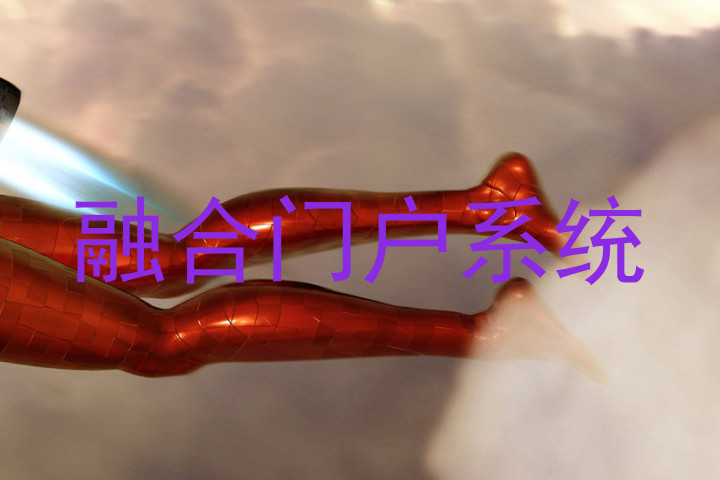 融合门户系统
