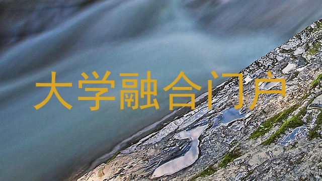 大学融合门户