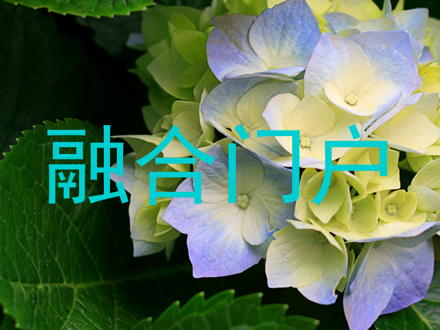 融合门户