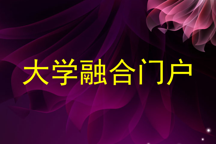 大学融合门户