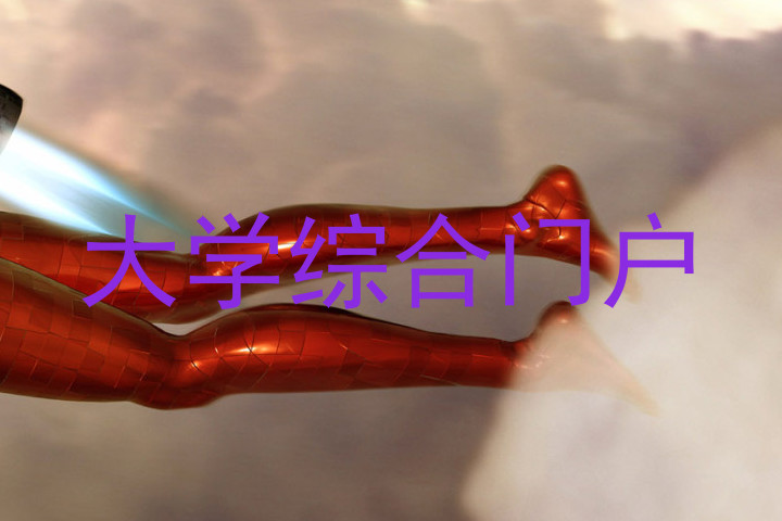 大学综合门户