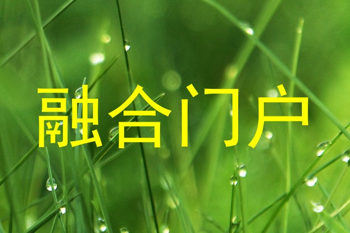 融合门户