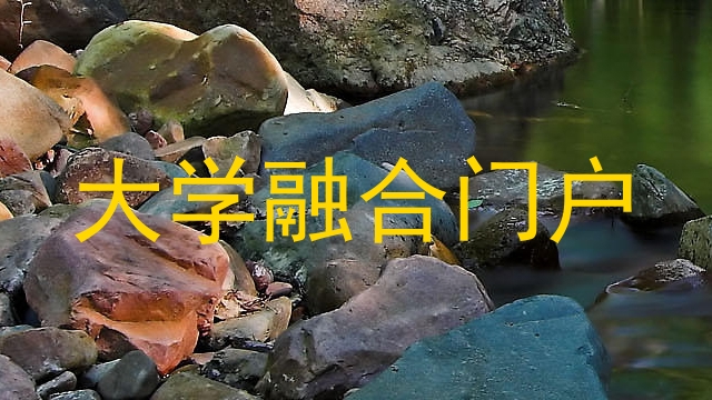 大学融合门户