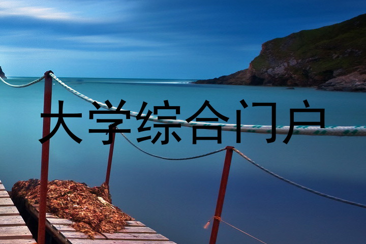 大学综合门户