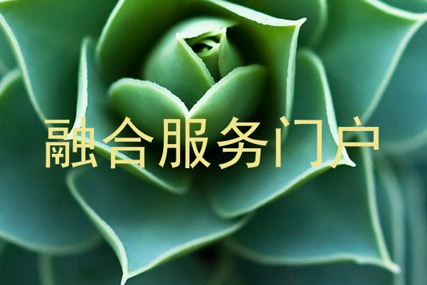 融合服务门户