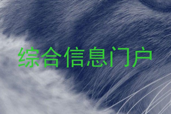 综合信息门户