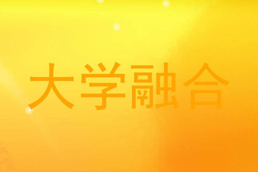 大学融合