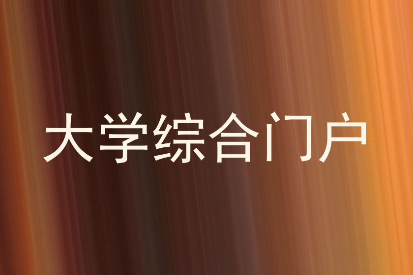 大学综合门户