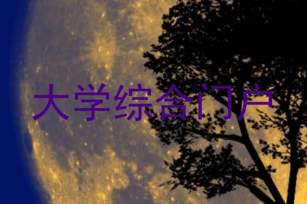 大学综合门户