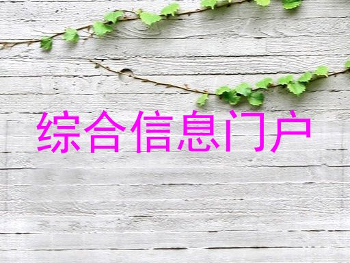 综合信息门户