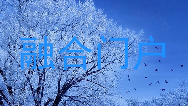 融合门户