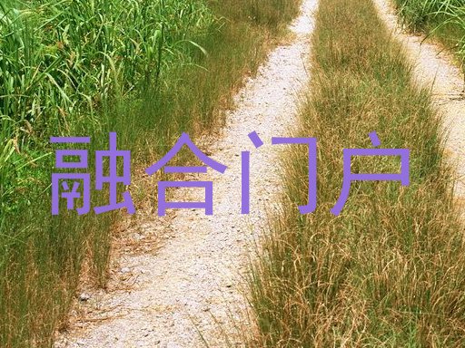 融合门户