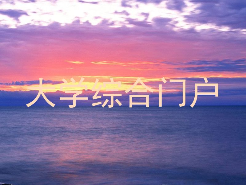 大学综合门户