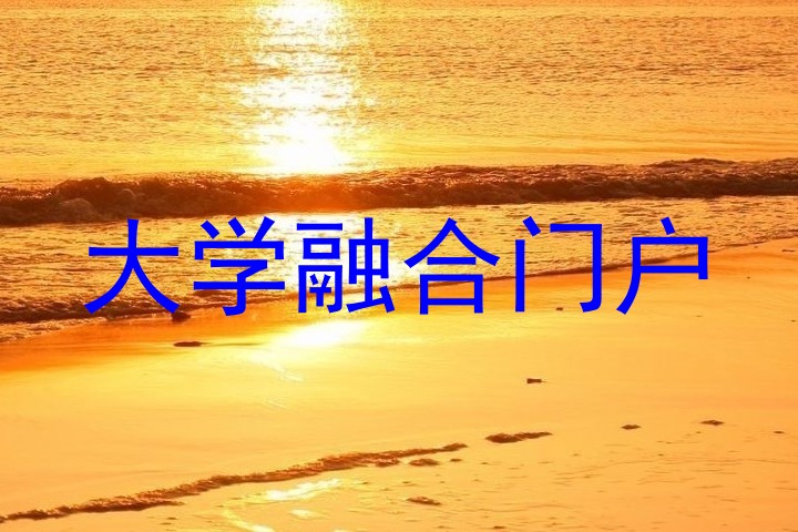 大学融合门户