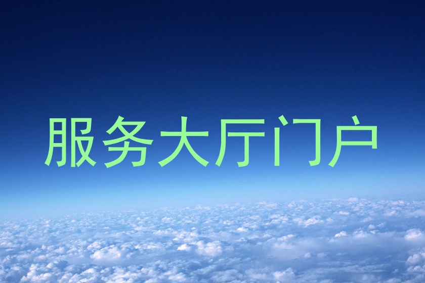 服务大厅门户