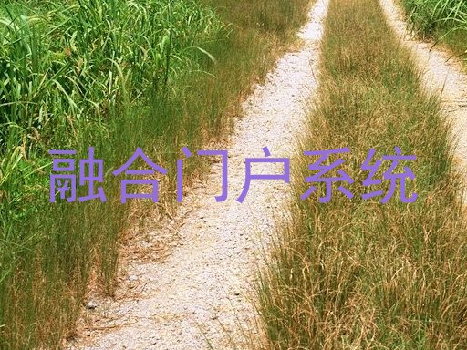 融合门户系统
