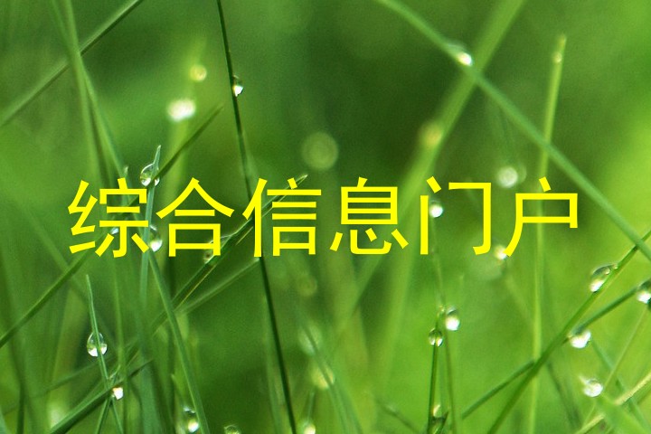 综合信息门户