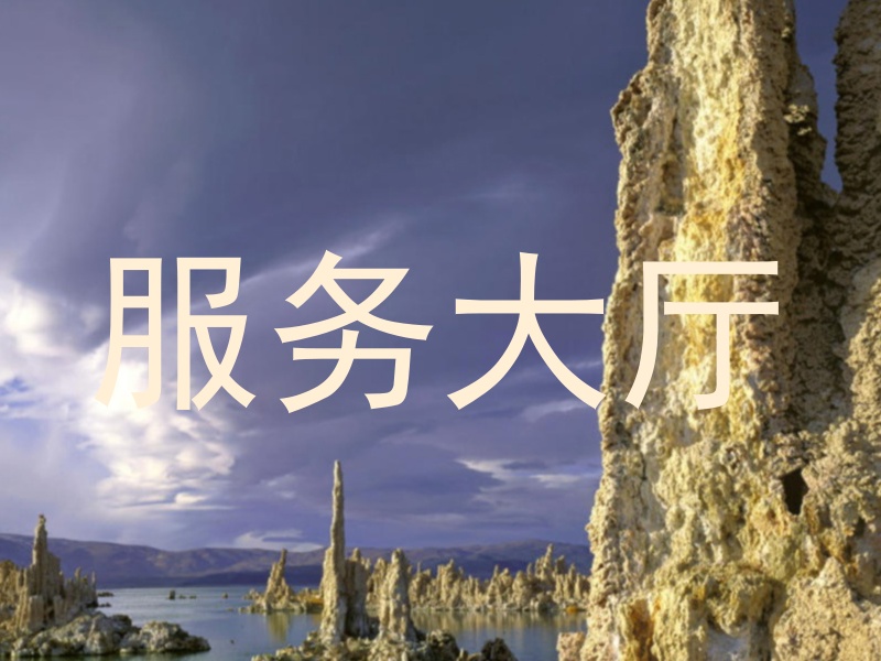 服务大厅