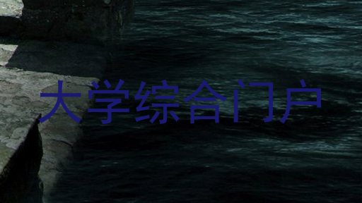 大学综合门户