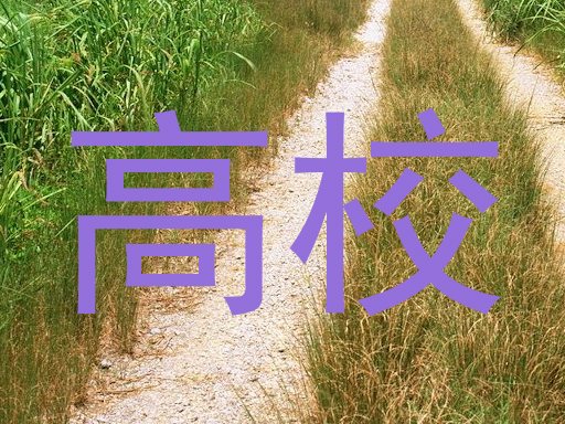 高校